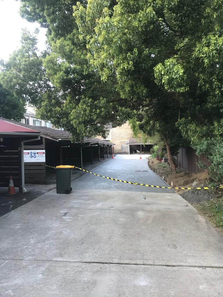 Hurlstone Park Project